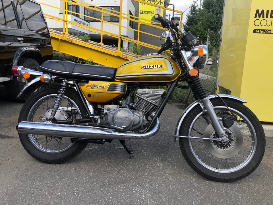 Suzuki GT250