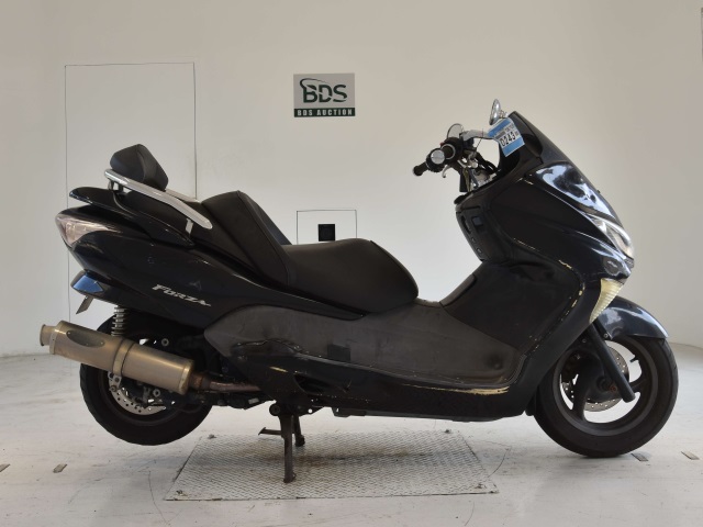 Honda FORZA Z 2006