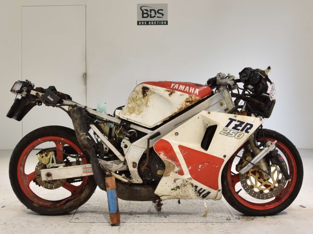 Yamaha TZR250