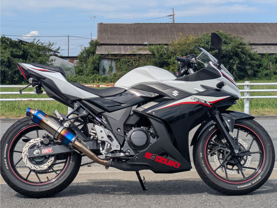 Suzuki GSX250R