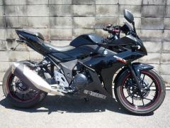 Suzuki GSX250R