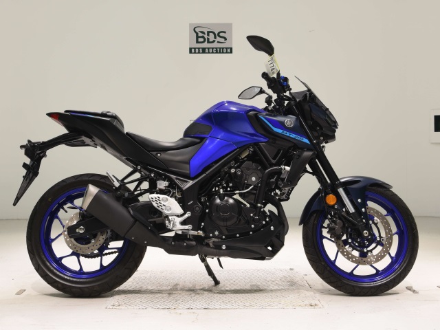 Yamaha MT-25 2022
