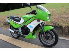 Kawasaki KR250