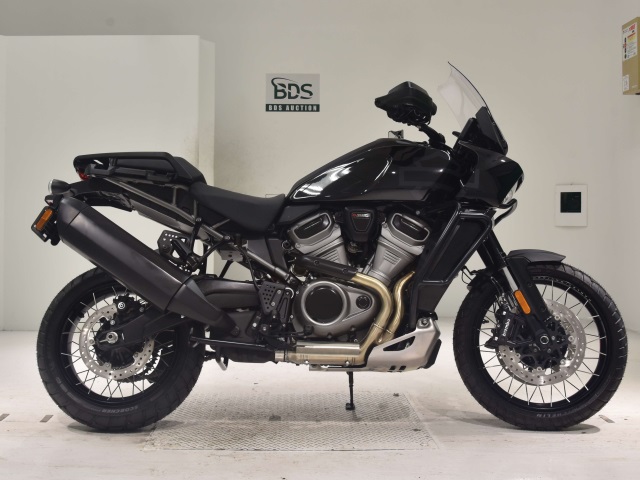 HD PAN AMERICA1250 S 2024