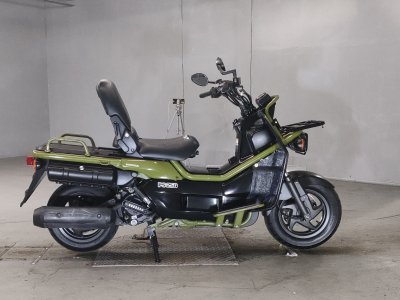 Honda PS250 BIG RUCKUS 2004