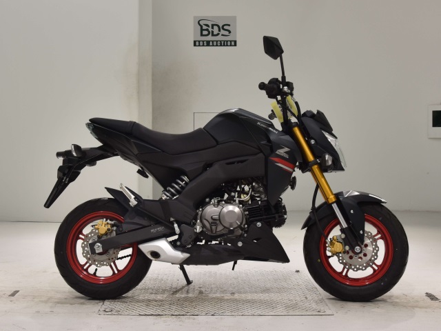Kawasaki Z125 PRO 2021