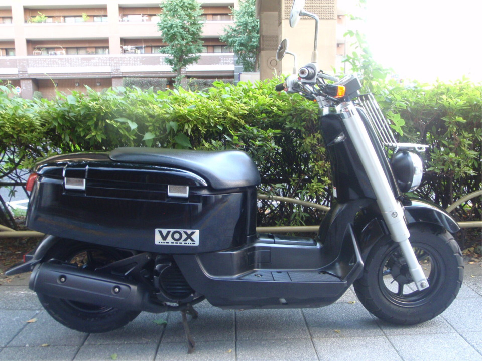 Yamaha VOX 2010