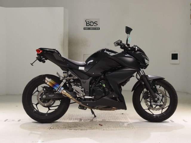 Kawasaki Z250 2016