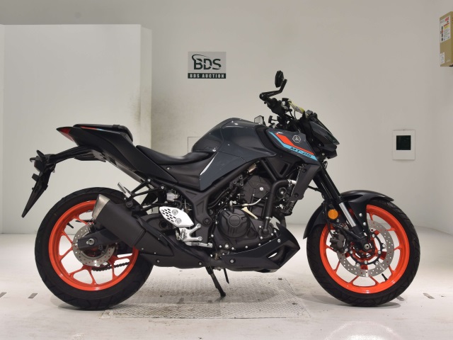 Yamaha MT-25 2021