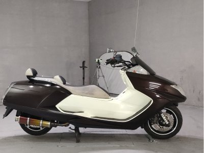 Yamaha MAGZAM 2010