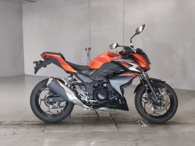 Kawasaki Z250 2014