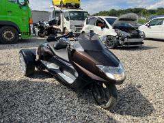 Yamaha MAXAM250 TRIKE 2007