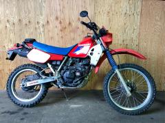Kawasaki KL250R