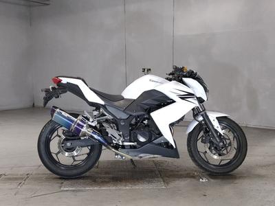Kawasaki Z250 2013