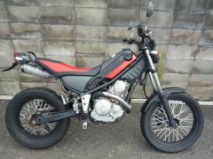 Yamaha TRICKER 2004
