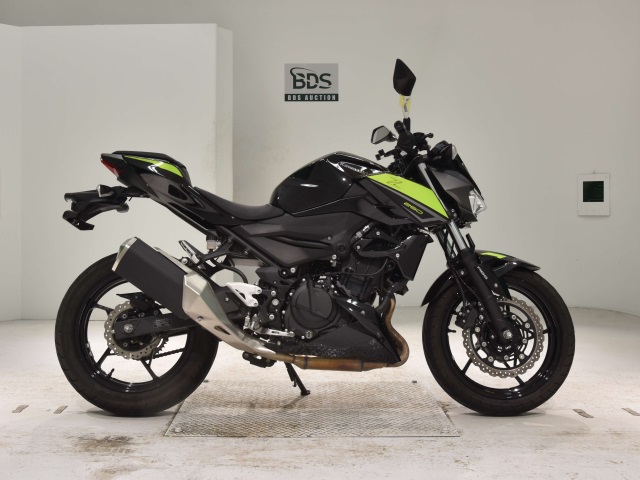 Kawasaki Z250 2022