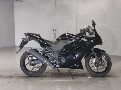 Kawasaki NINJA250R 2010