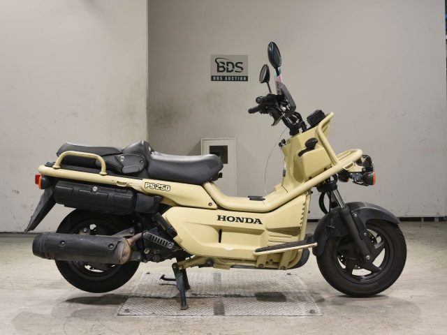 Honda PS250 BIG RUCKUS 2006