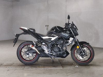 Yamaha MT-25 2016