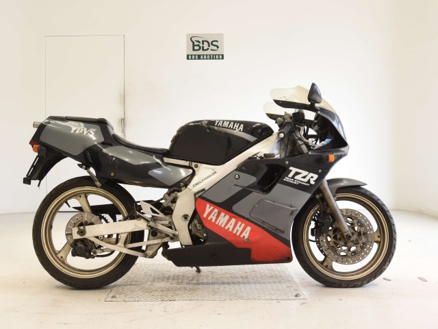 Yamaha TZR250 1989