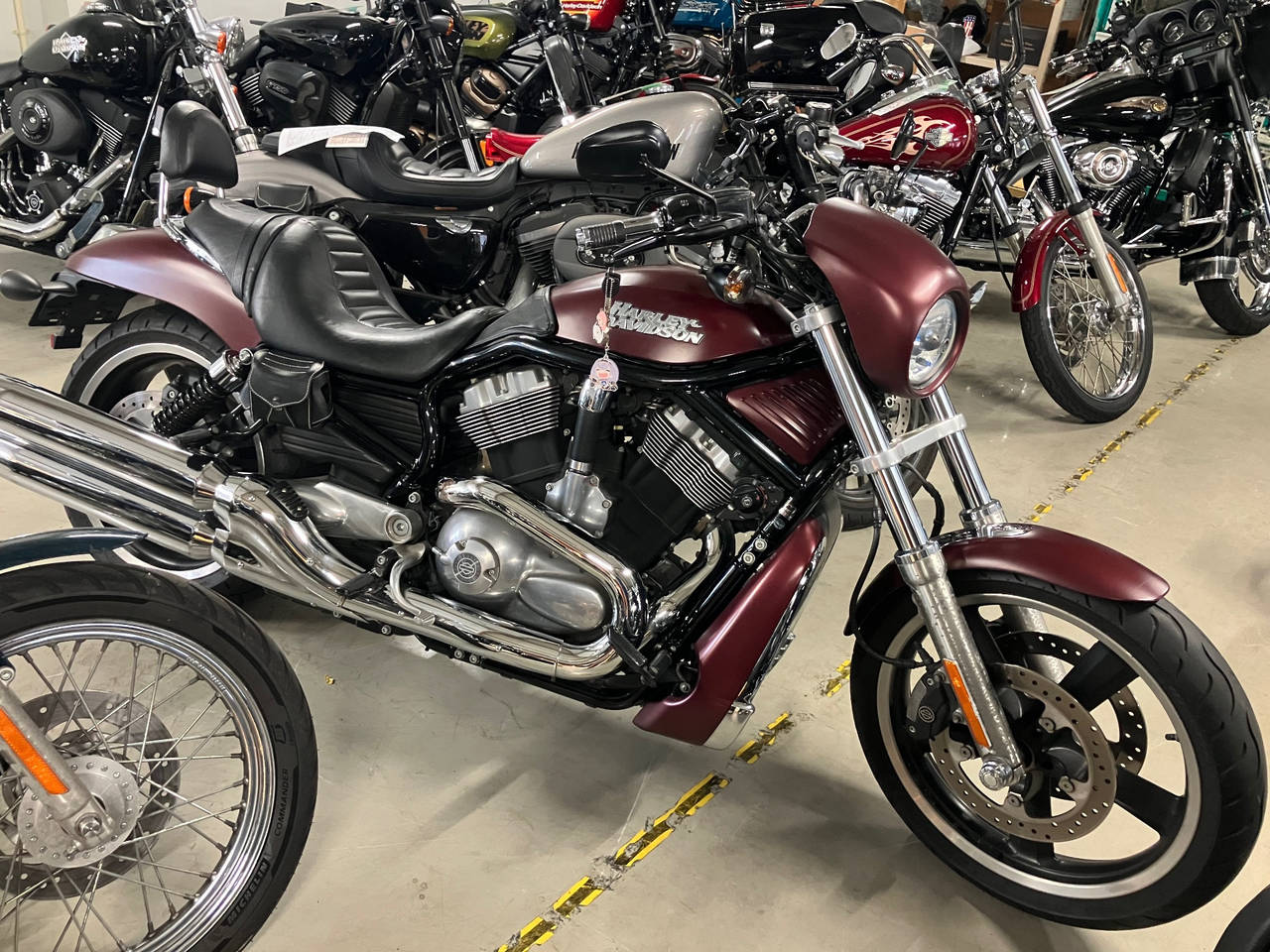 HD NIGHT ROD VRSCD 2007