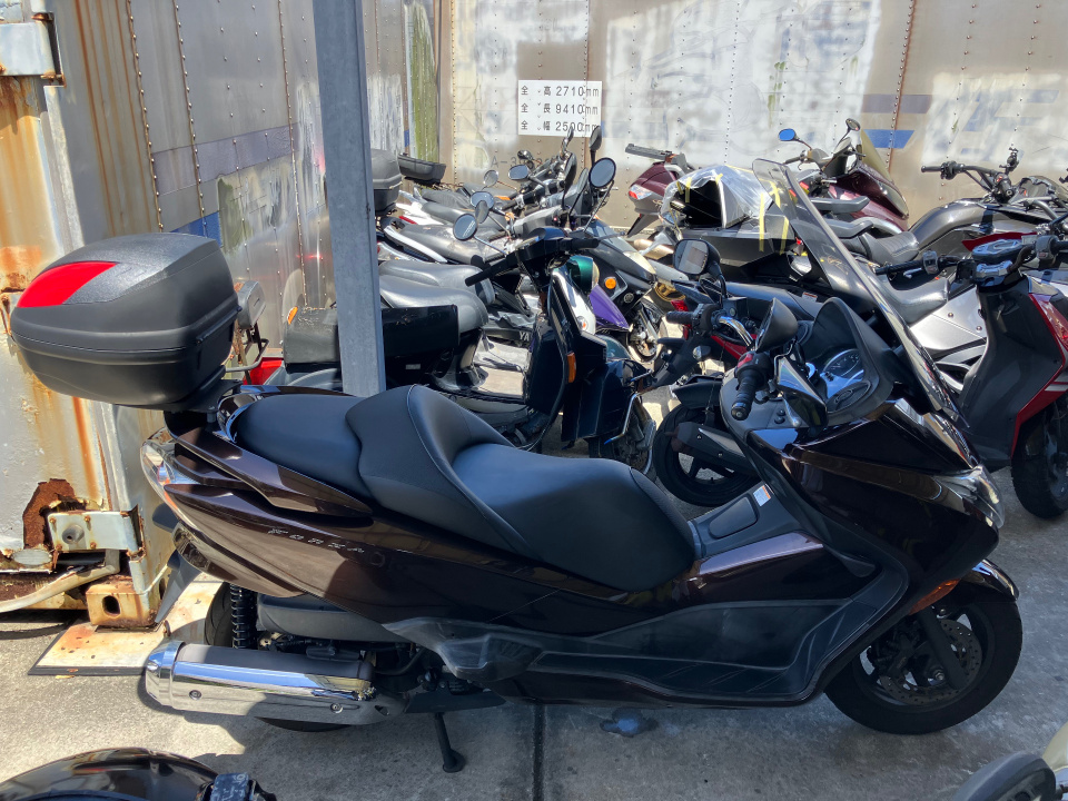 Honda FORZA Z 2008