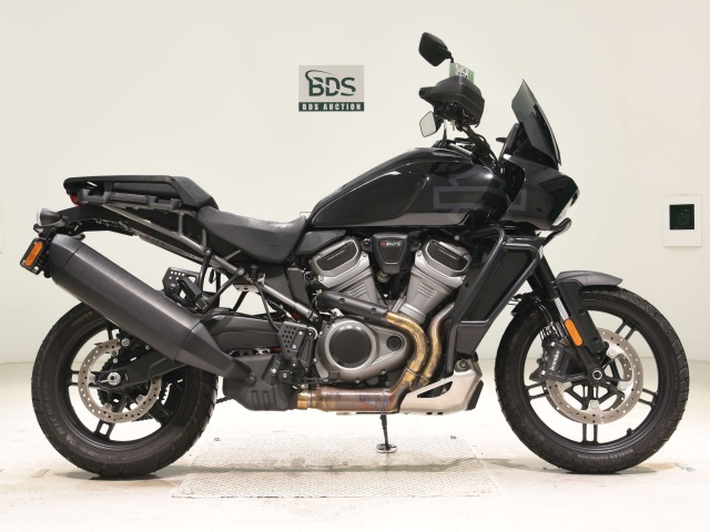 HD PAN AMERICA1250 S 2022