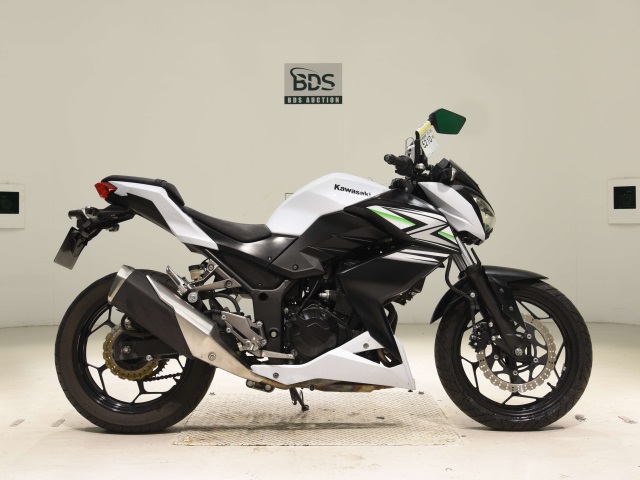 Kawasaki Z250 2014