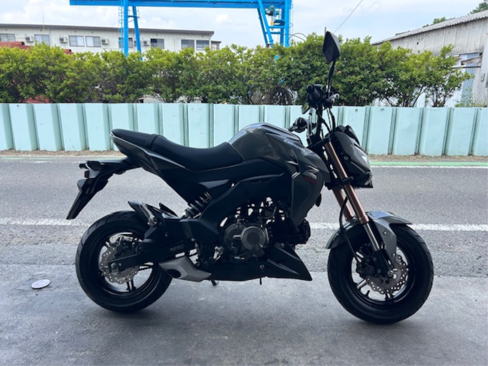 Kawasaki Z125 PRO 2017