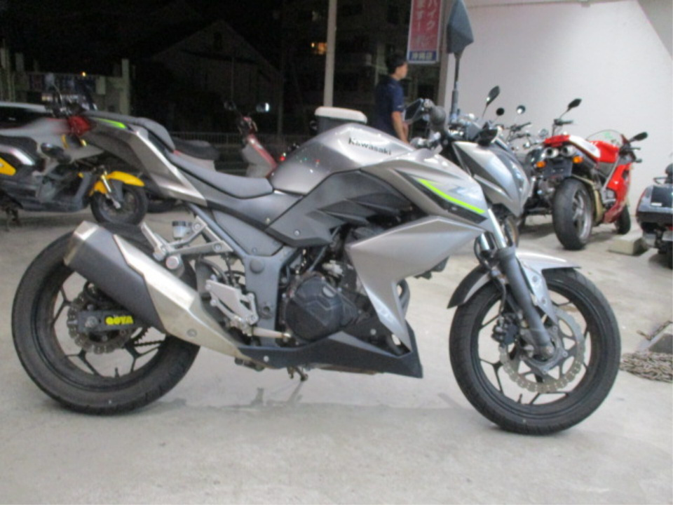 Kawasaki Z250A 2017