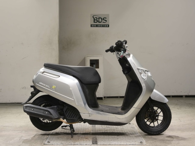 Honda DUNK 2019