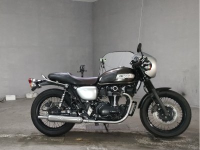 Kawasaki W800 2019