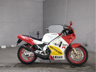 Yamaha TZR250
