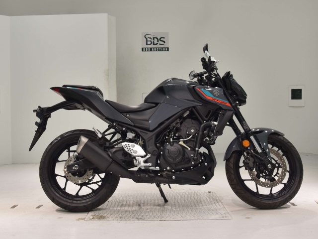 Yamaha MT-25 2022