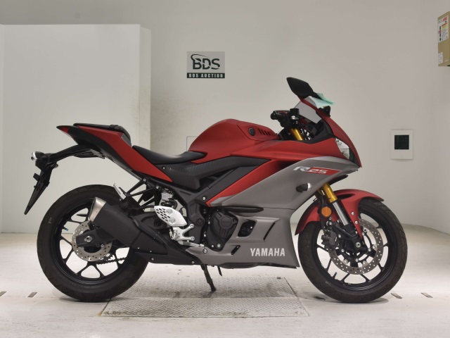 Yamaha YZF-R25 2019