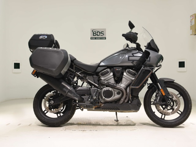 HD PAN AMERICA1250 S 2022
