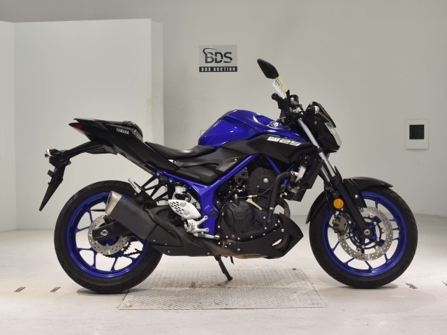 Yamaha MT-25 2019