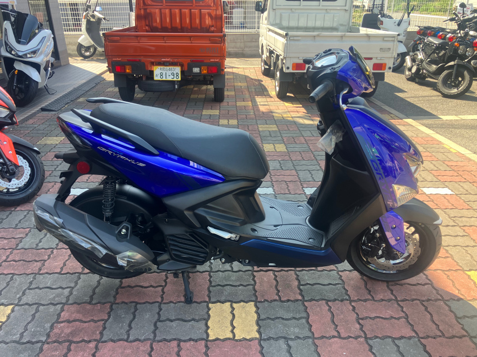 Yamaha CYGNUS GRIFFUS