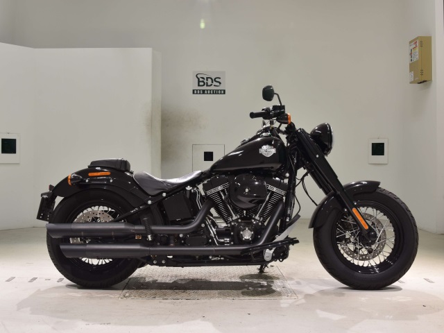 HD SLIM S FLSS1800 2017