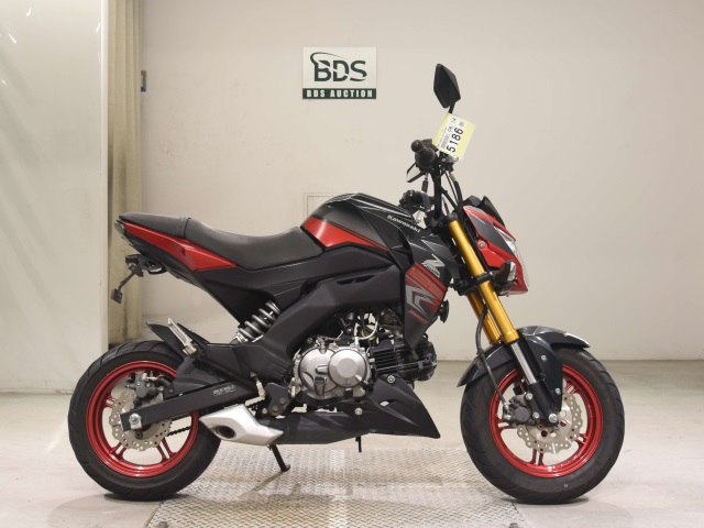 Kawasaki Z125 PRO 2018