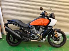 HD PAN AMERICA1250 S 2022