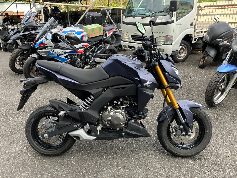 Kawasaki Z125 PRO 2020