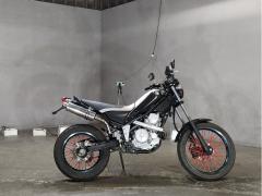 Yamaha TRICKER 2006