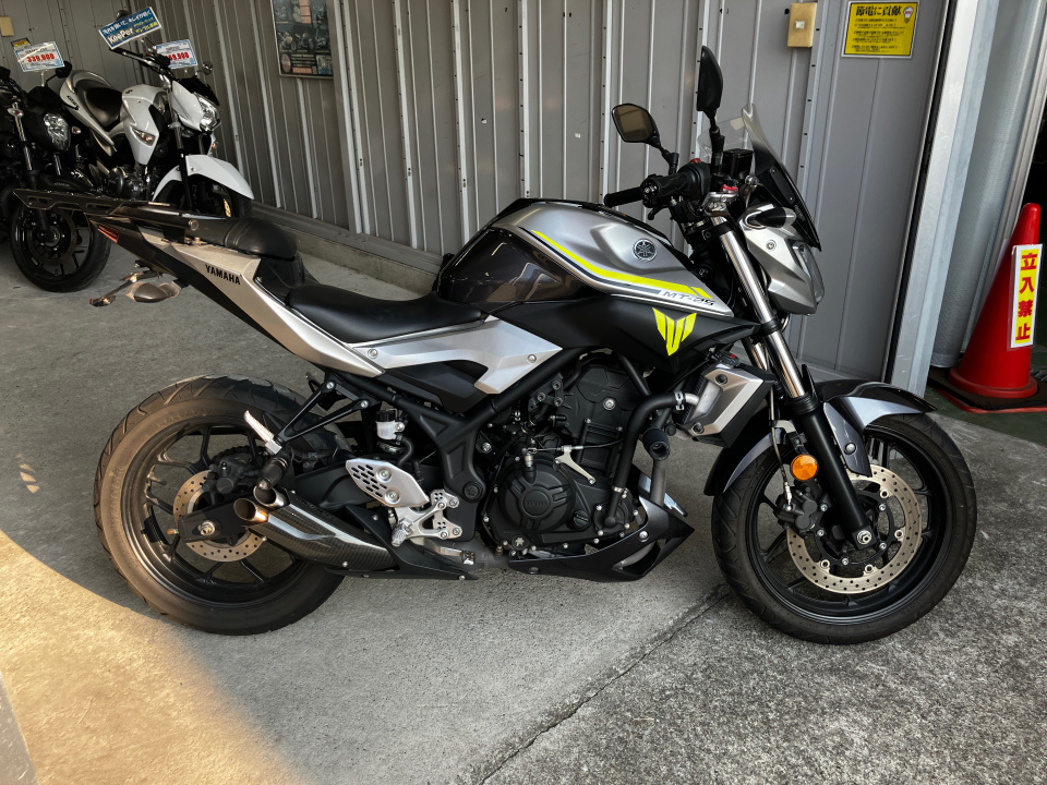 Yamaha MT-25