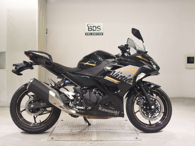 Kawasaki NINJA250 2020
