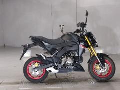 Kawasaki Z125 PRO 2021