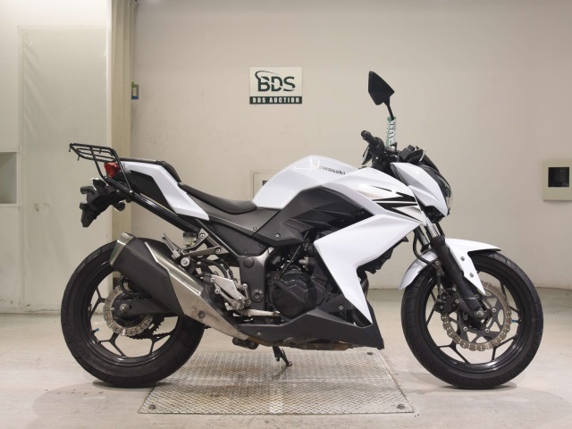 Kawasaki Z250 2013