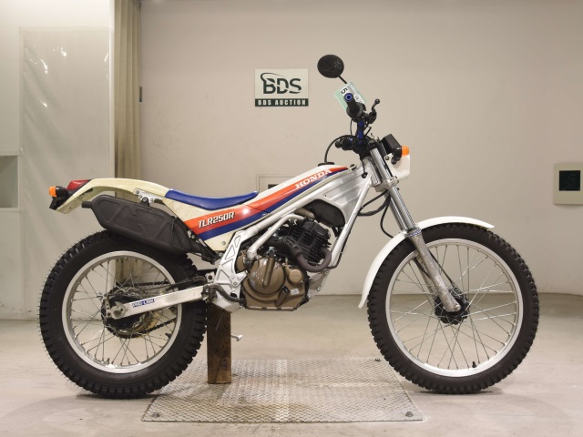 Honda TLR250R 1986