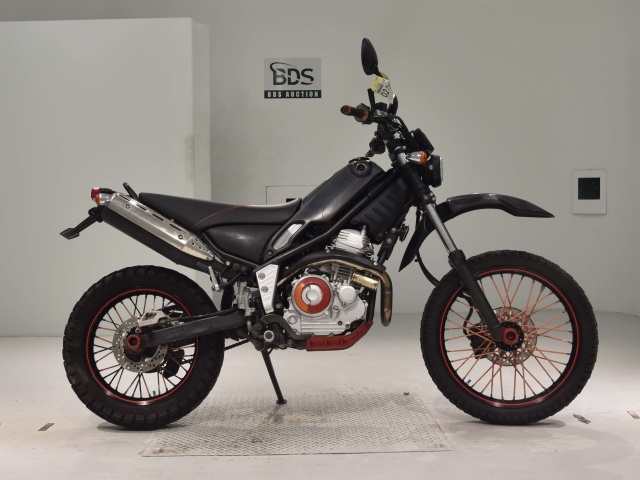 Yamaha TRICKER 2004