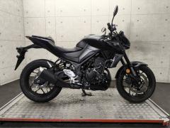 Yamaha MT-25 2022